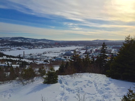 Snowshowing in St. John's