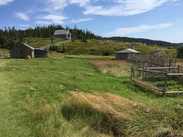 Random Passage, New Bonaventure, Newfoundland