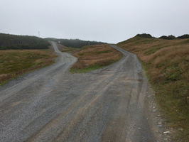 Road to Horsechops