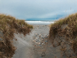 Beach Path Between Lumsden and Cape Freels North