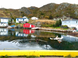 Harbour Mille, Newfoundland