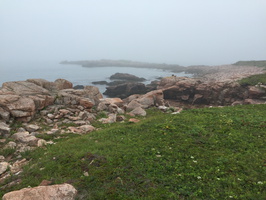 Seal Cove, Newfoundland 