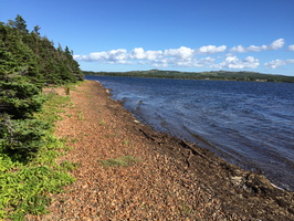 Frenchman's Cove Provincial Beach