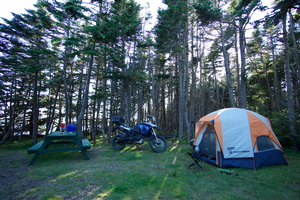 Camping in Frenchman's Cove