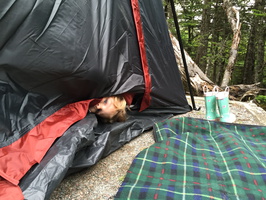 Amber's Second Camping Trip