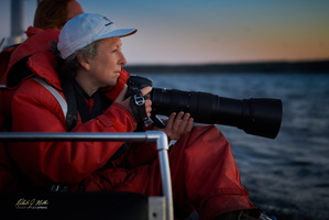 Collette Studying Whale Movements