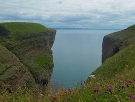 View from Bell Island
