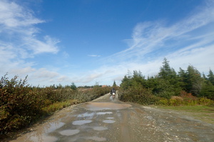 Country Road and North River Road