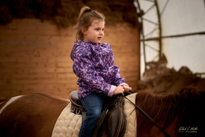 Horseback Riding at Equine Meadows