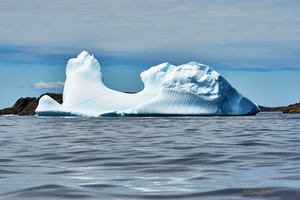 Running Shoe Iceberg