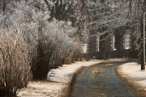Frozen Path to Government House