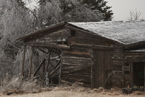 Frozen Shed on Roches Road