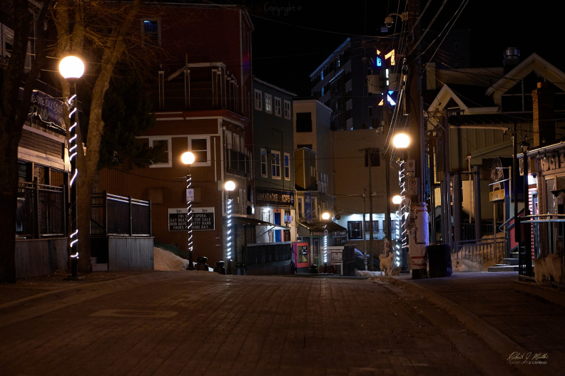 DowntownNight-ILCE-7RM4-DSC00070-MaxPrint.jpg